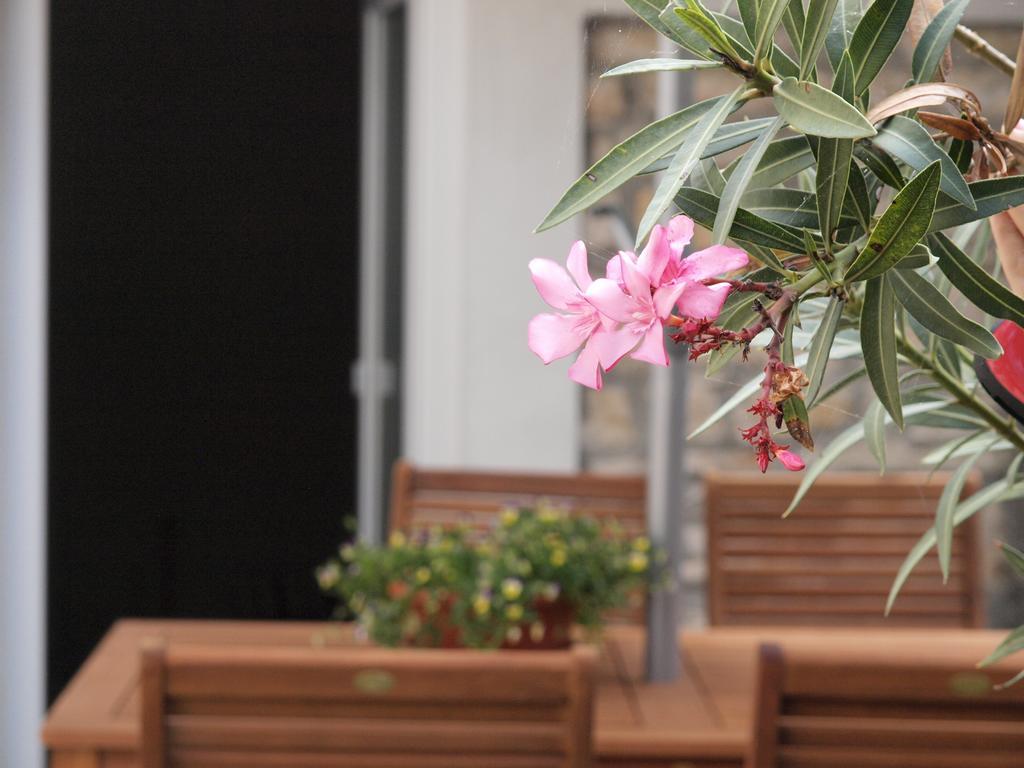 Apartment Ivan Pula Bilik gambar